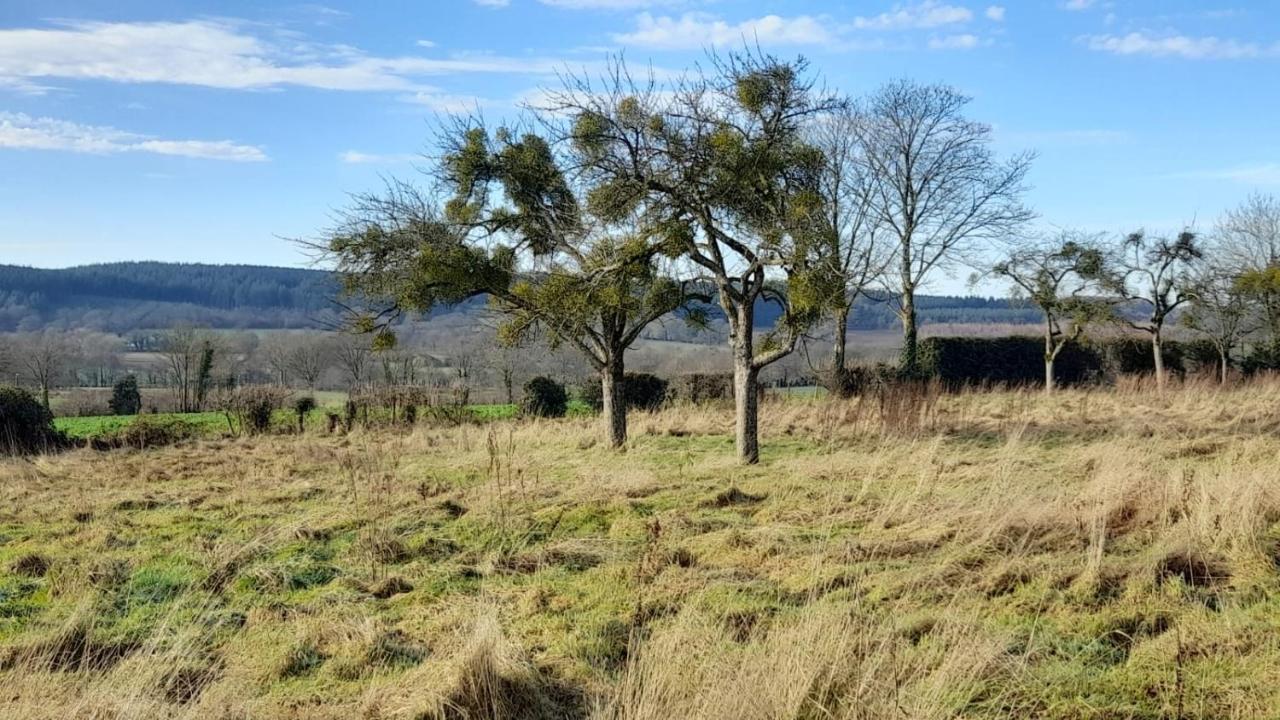 Gîte Cottage chaleureux en pleine campagne vue sur les Monts et Forêts et le château de Carrouges Extérieur photo