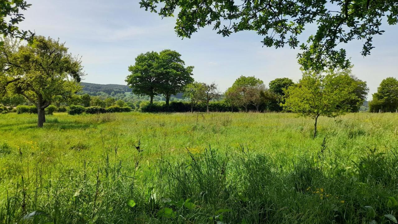 Gîte Cottage chaleureux en pleine campagne vue sur les Monts et Forêts et le château de Carrouges Extérieur photo